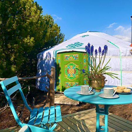 Valhalla Yurts Odin Selfoss Exterior photo